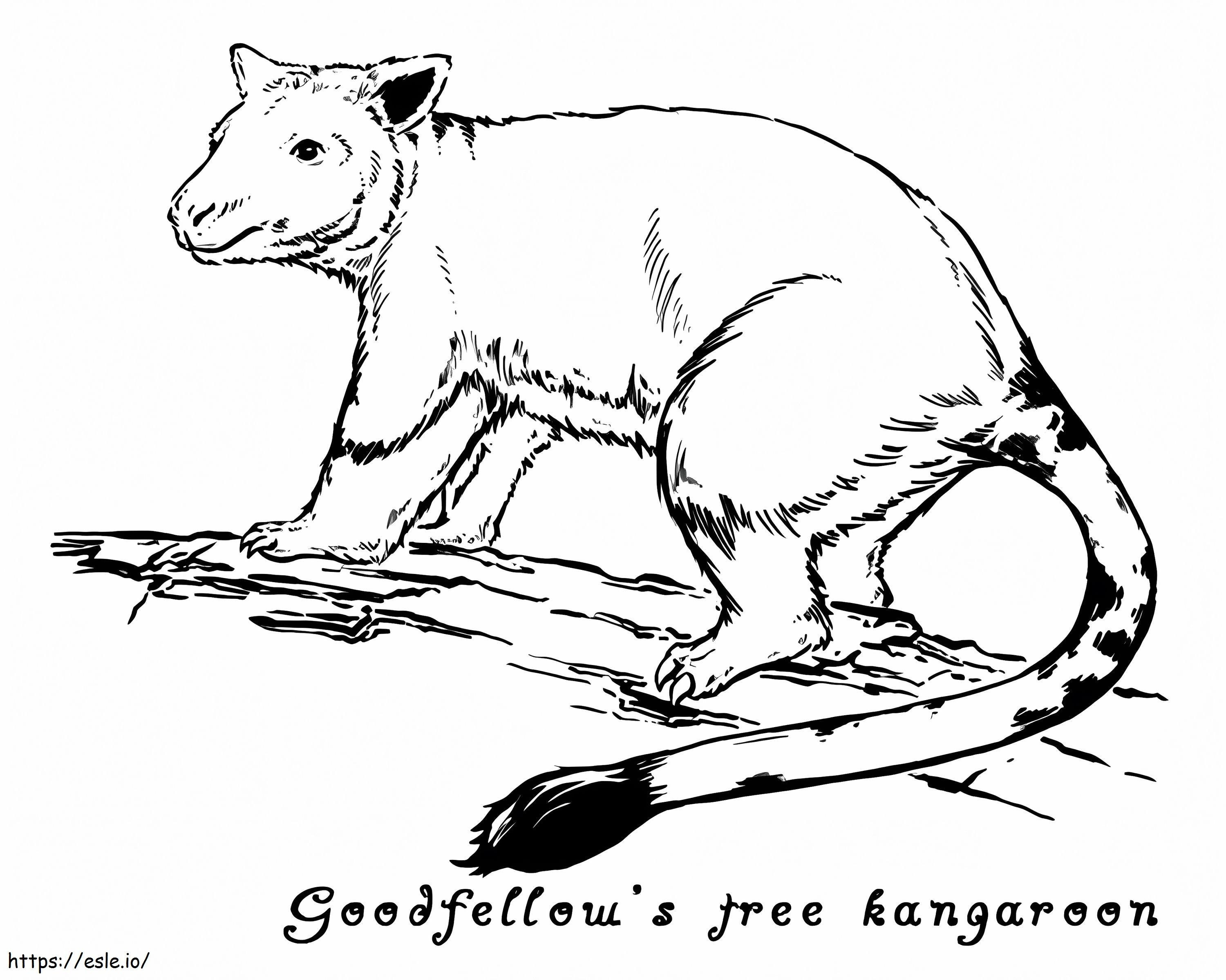 Coloriage Kangourou arboricole Goodfellows 1 à imprimer dessin