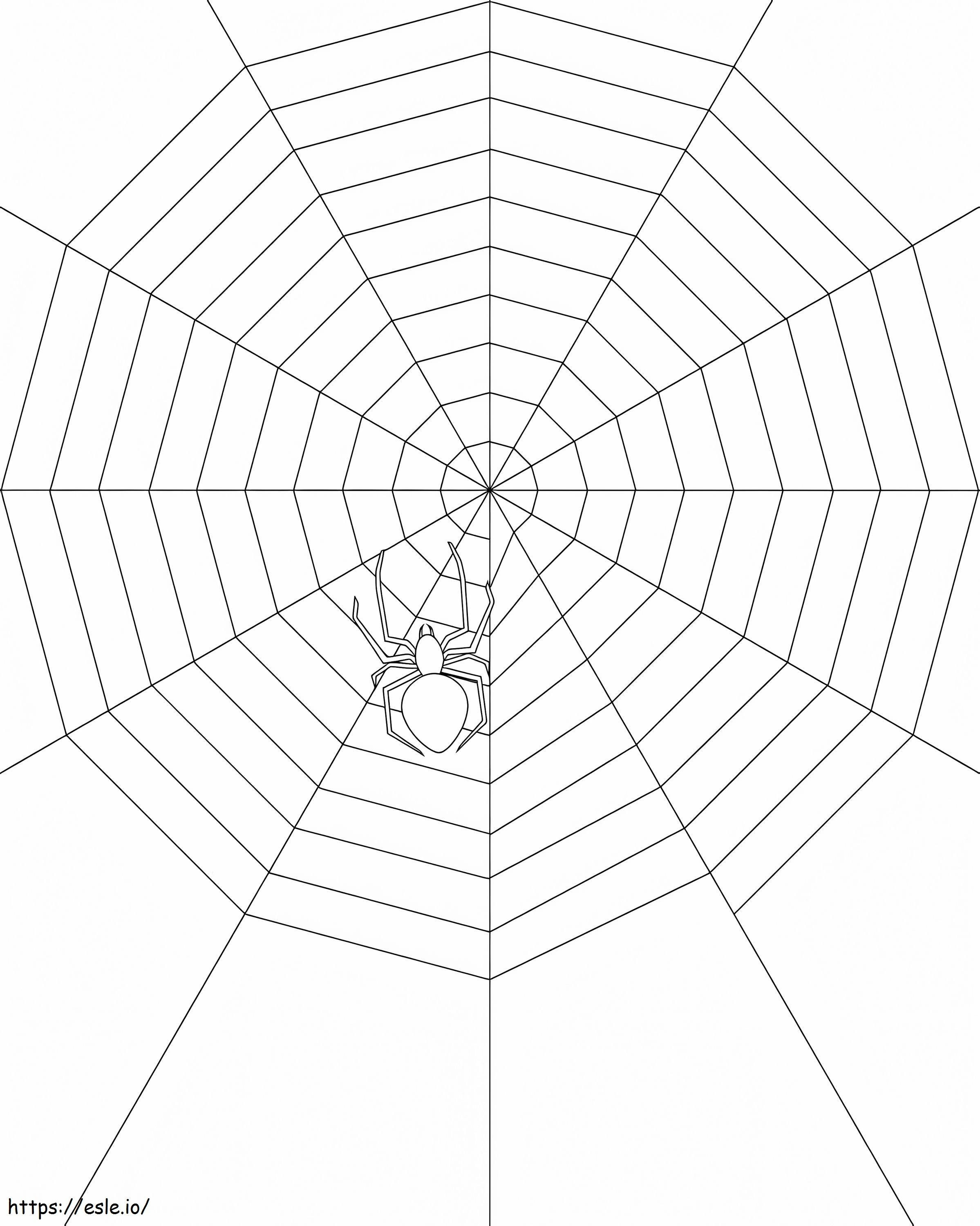 Spider On Spider Web 1 värityskuva