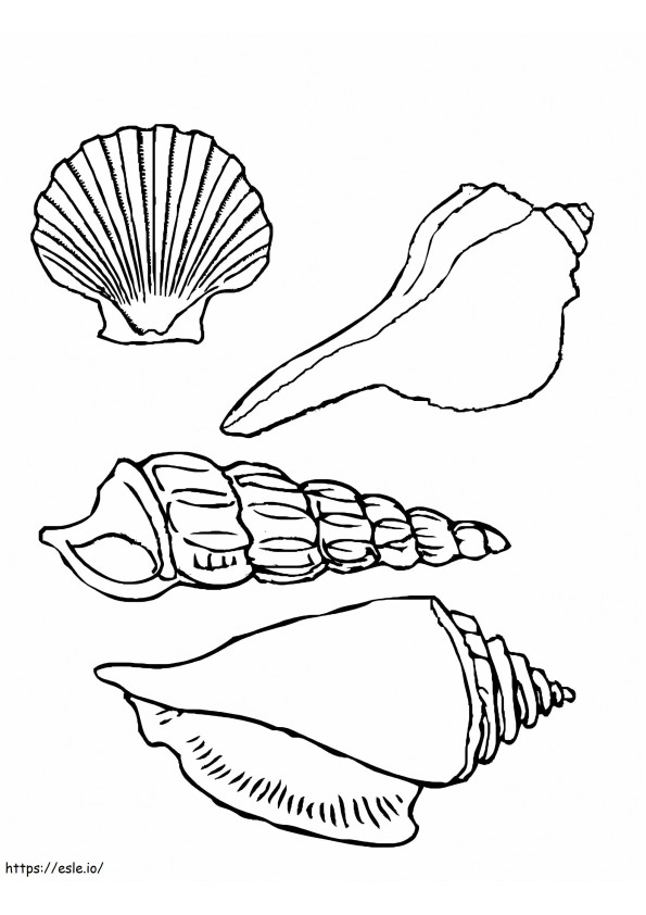 Seashells coloring page