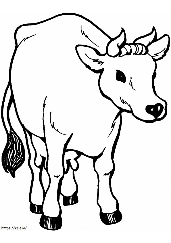 Regular Cow coloring page