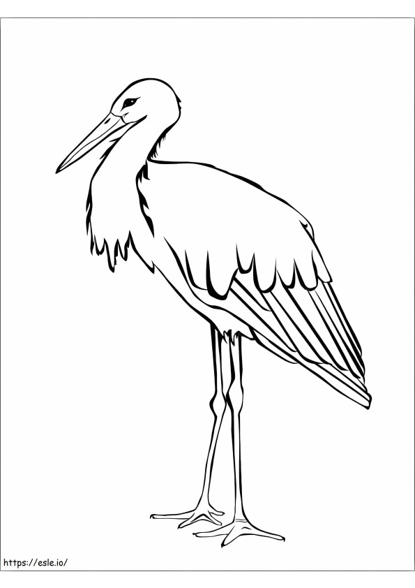 Vaikuttava Stork värityskuva