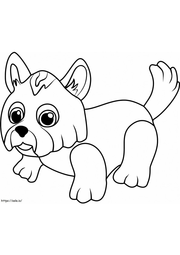Yorkshire Terrier Pet Parade coloring page
