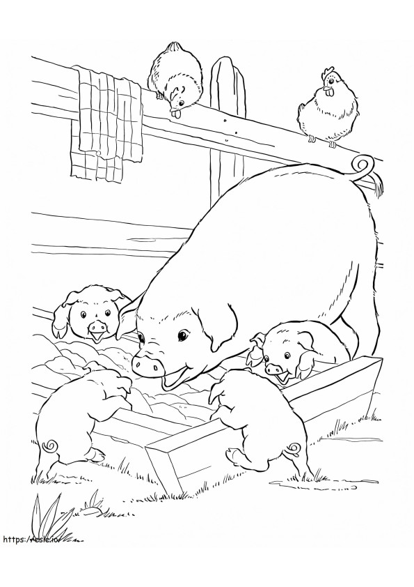 Farm Pigs coloring page
