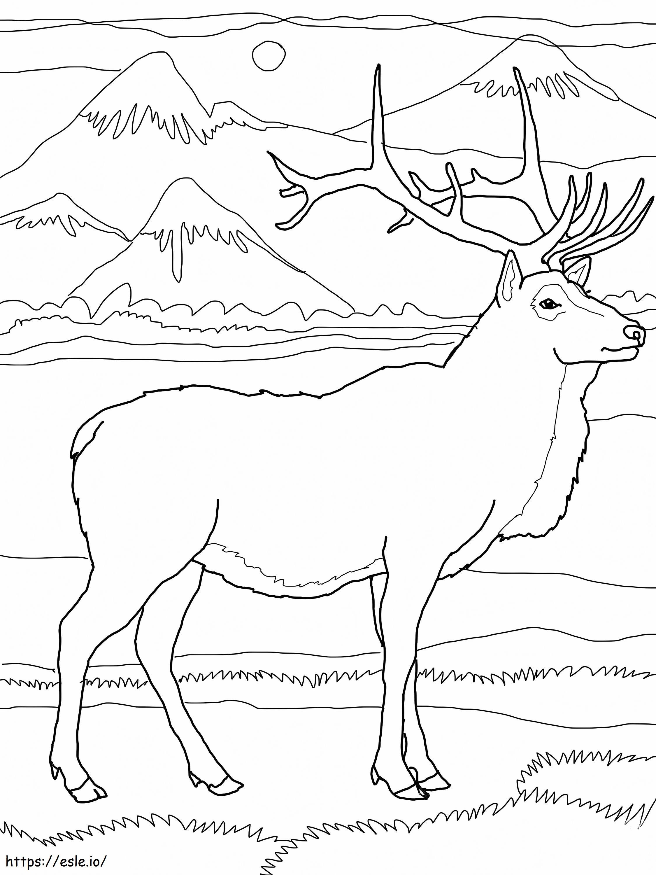 Moose And Beautiful Landscape coloring page