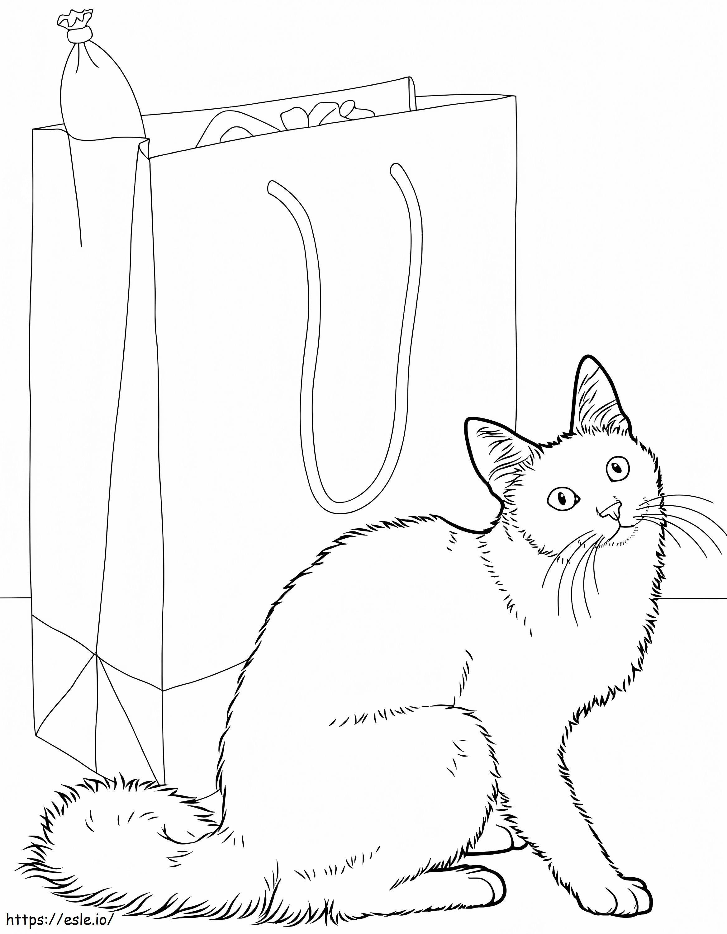 Coloriage Chat angora à imprimer dessin