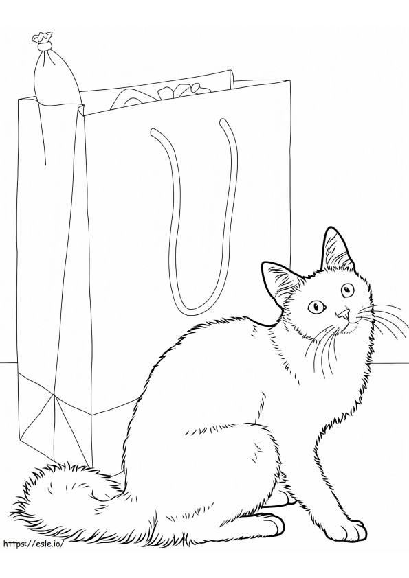 Coloriage Chat angora à imprimer dessin