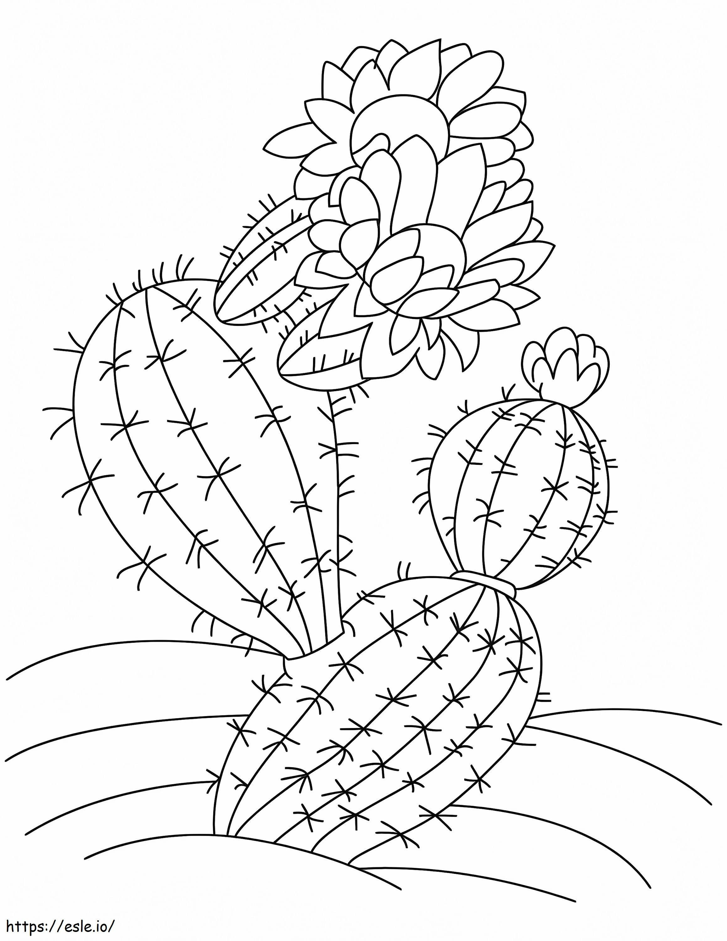 cactus con flor para colorear