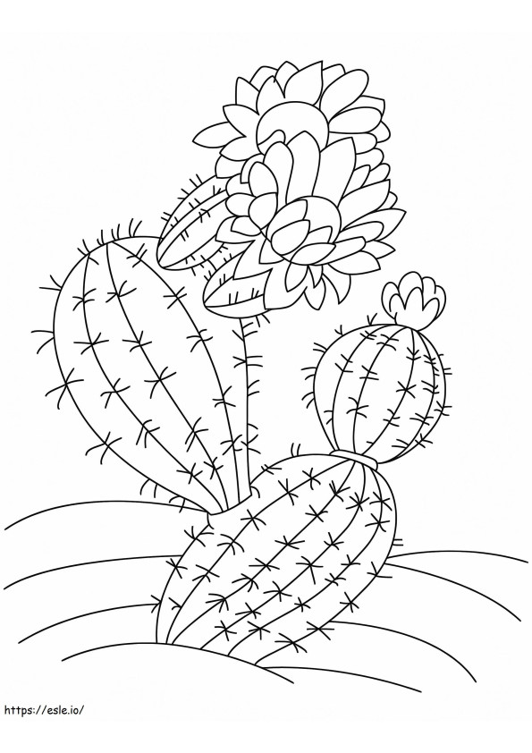 Kaktus Dengan Bunga Gambar Mewarnai