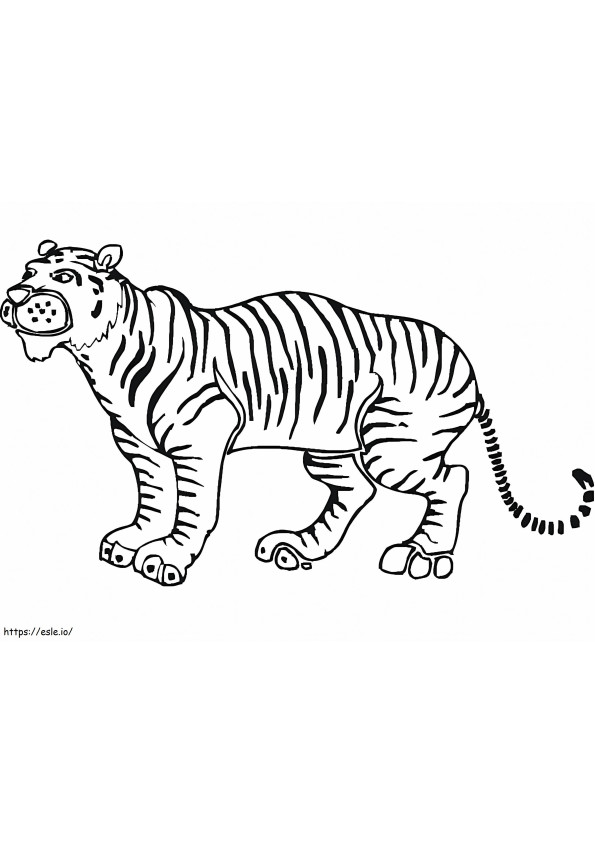 Un tigru de colorat