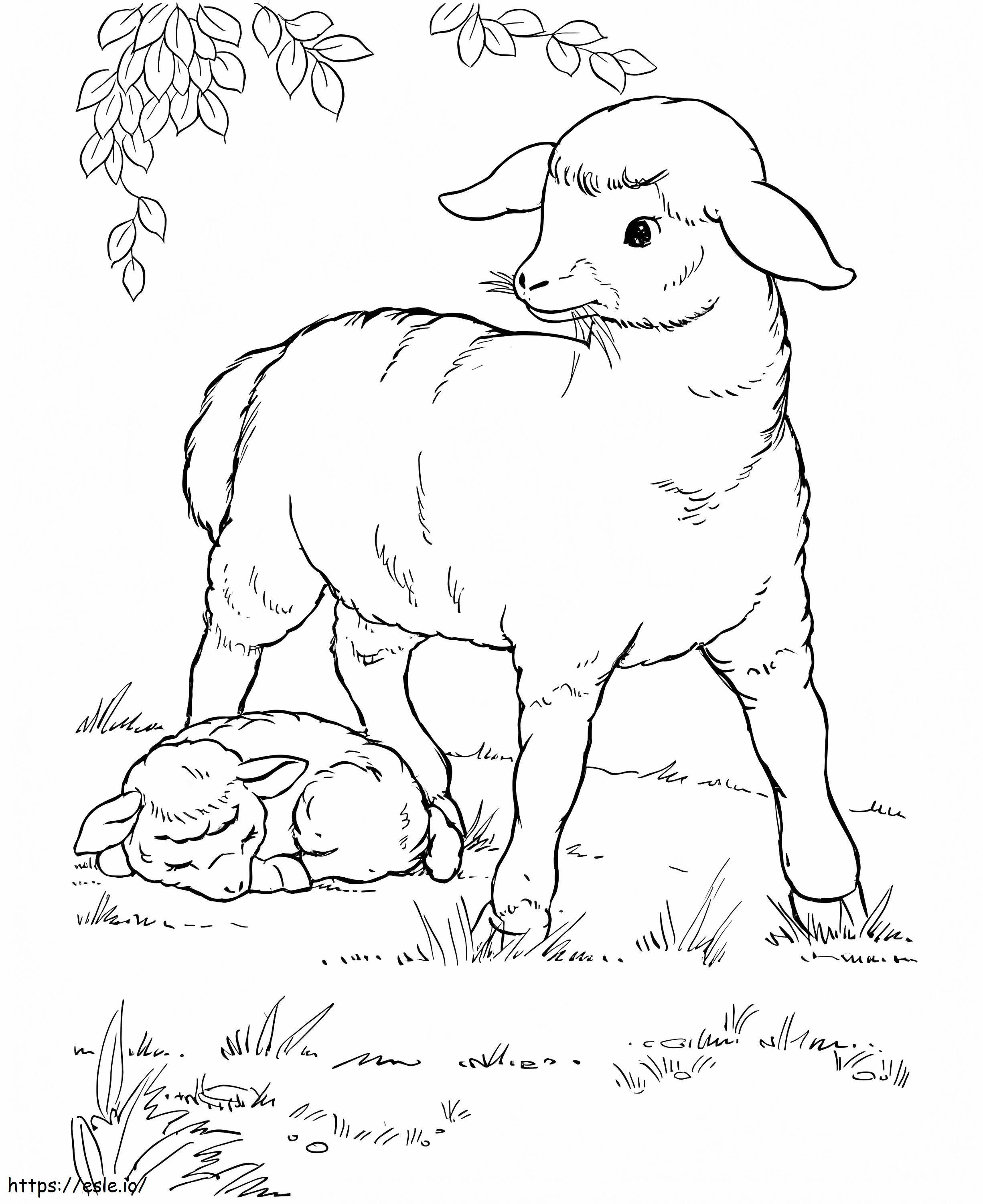 Schafe fressen Gras und schlafende Schafe ausmalbilder