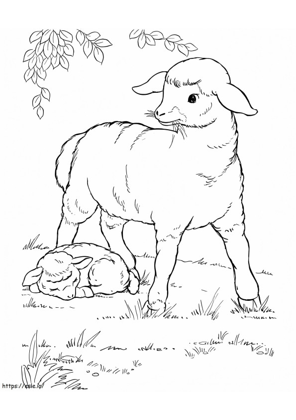 草を食べる羊と眠る羊 ぬりえ - 塗り絵