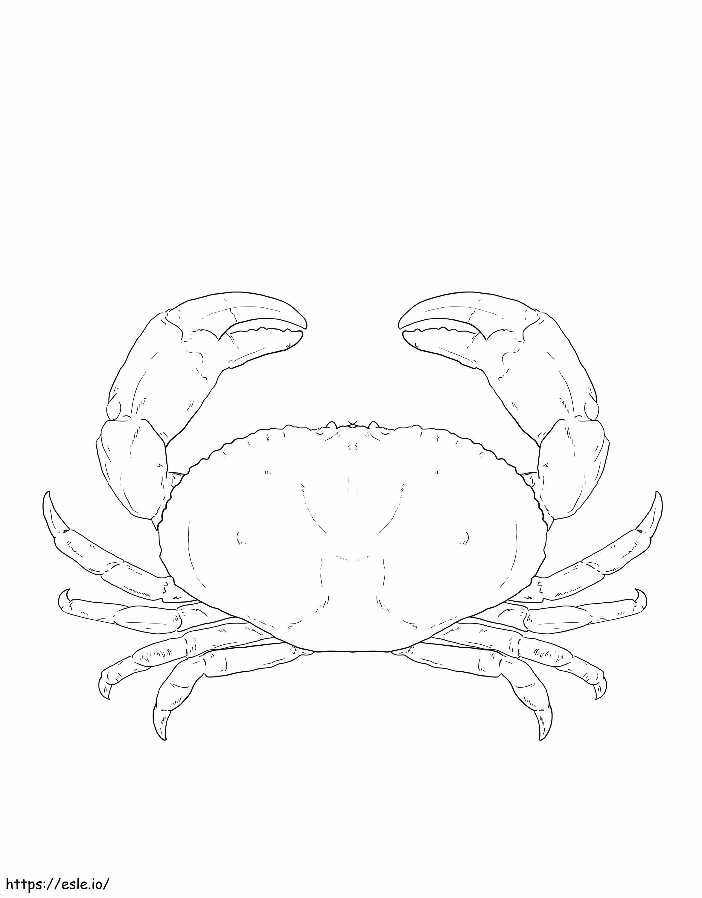 Coloriage Crabe commun rouge à imprimer dessin