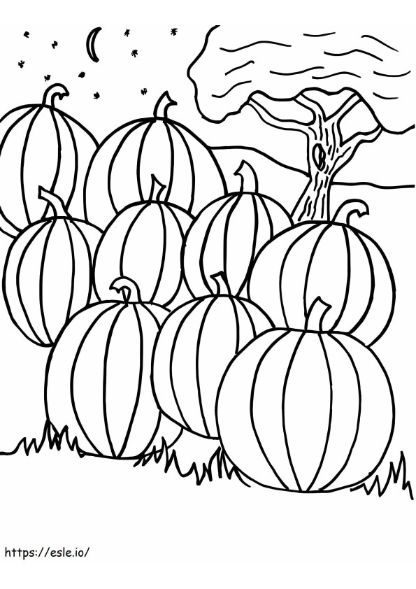 Pumpkin Patch Free Printable coloring page