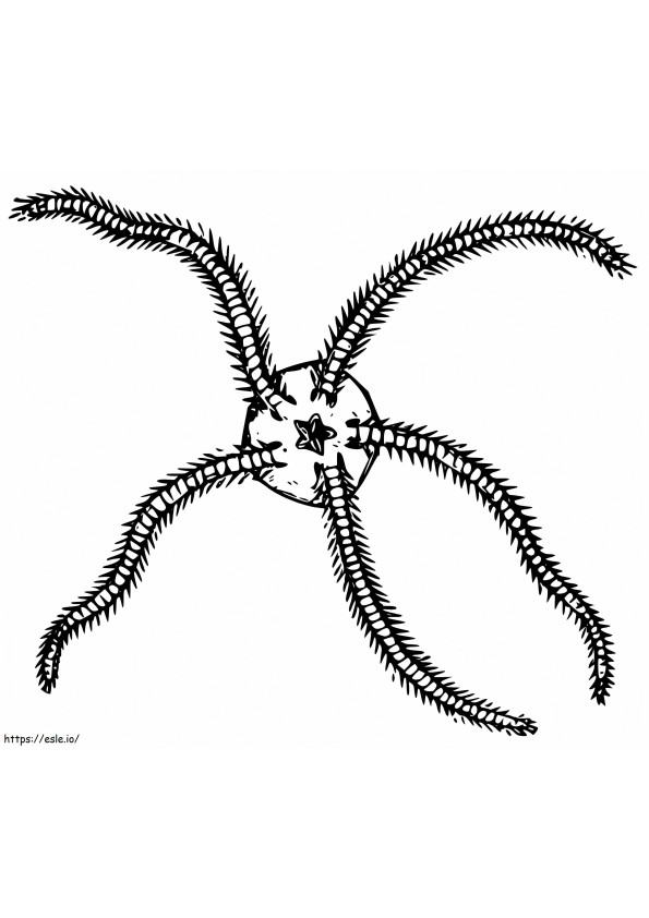 Printable Brittle Star coloring page