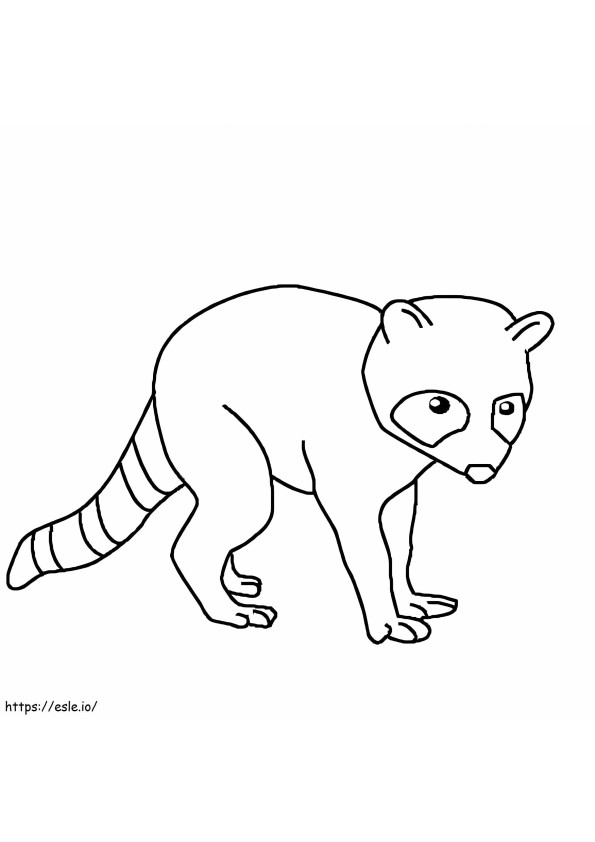 Perfect Raccoon coloring page
