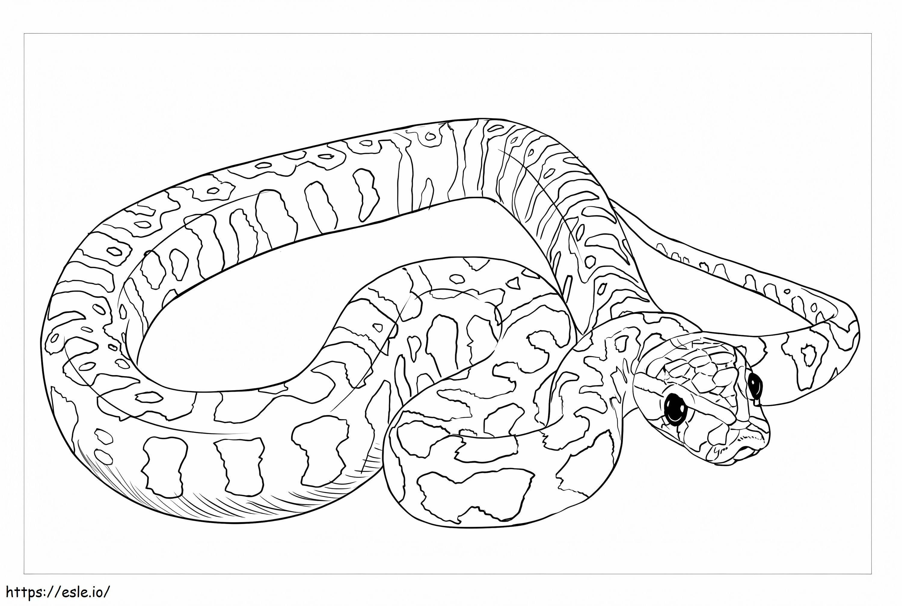 Python Batu Afrika Gambar Mewarnai