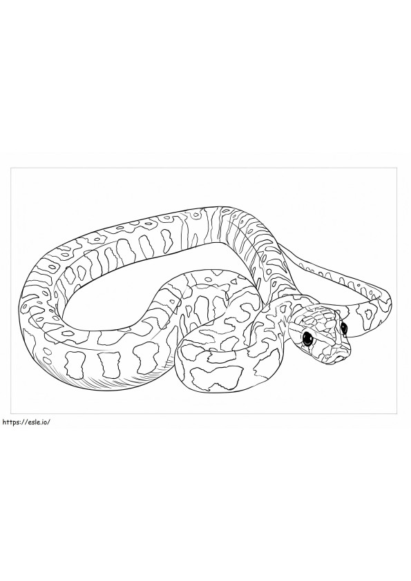 Coloriage Python de roche africain à imprimer dessin