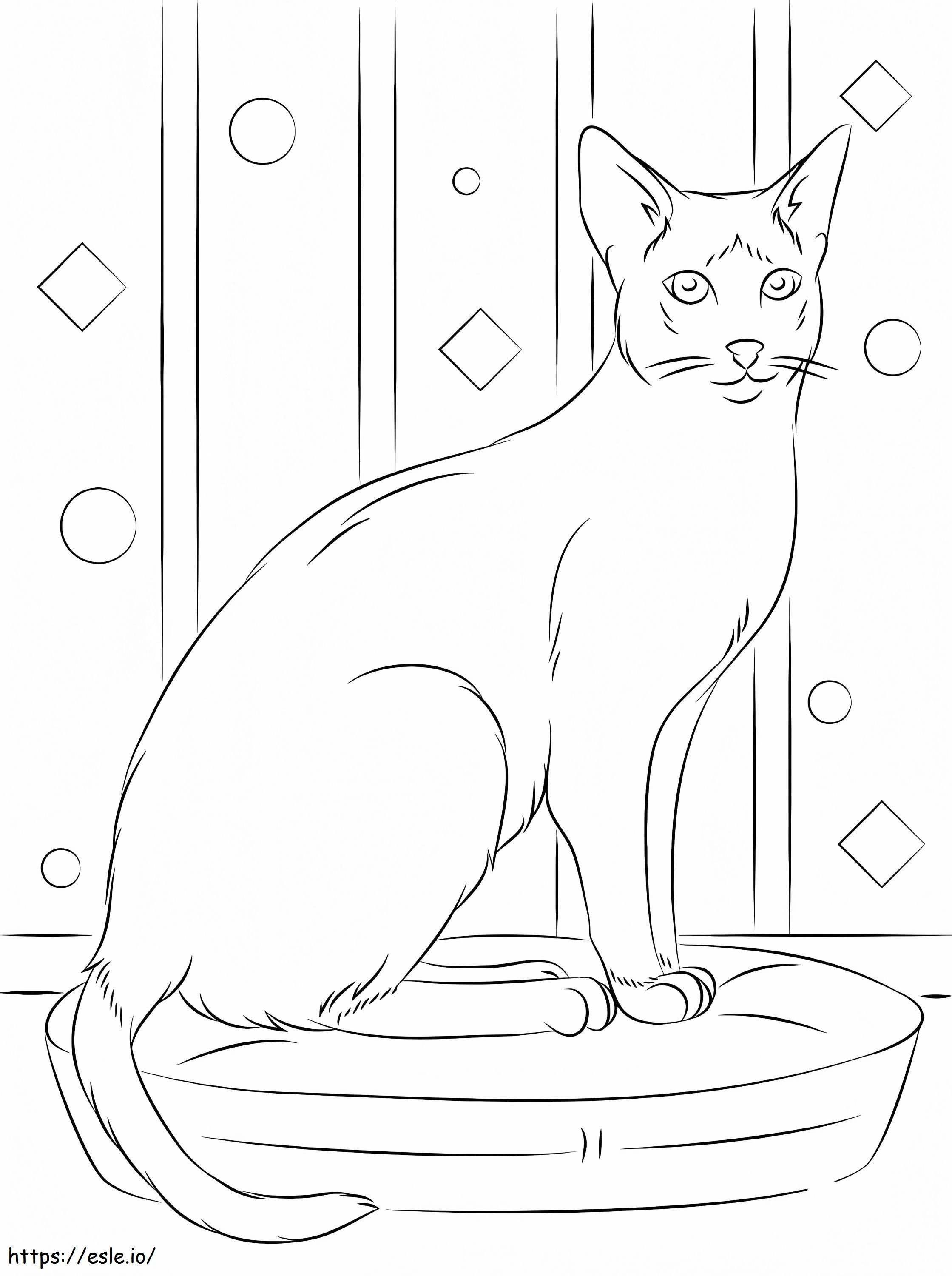 Siamese Cat coloring page