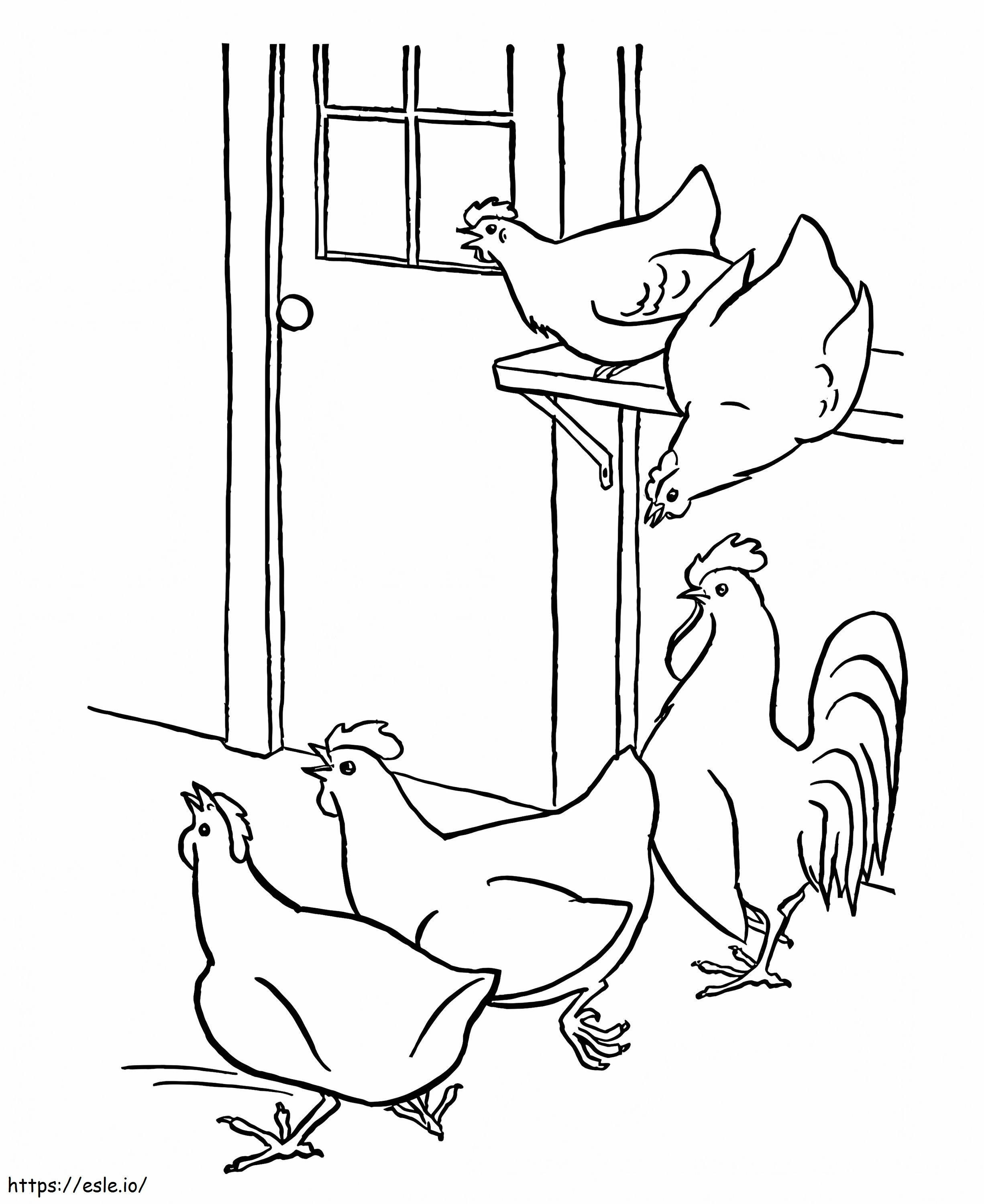 galinhas para colorir