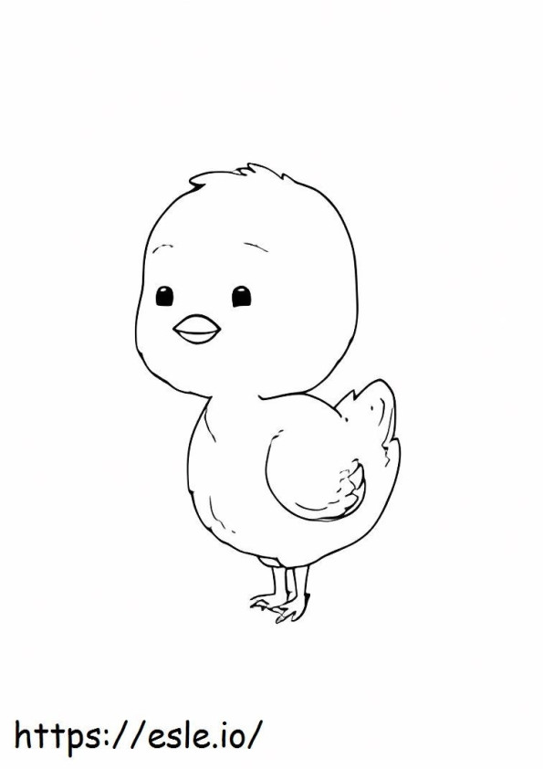 Cute Chick coloring page
