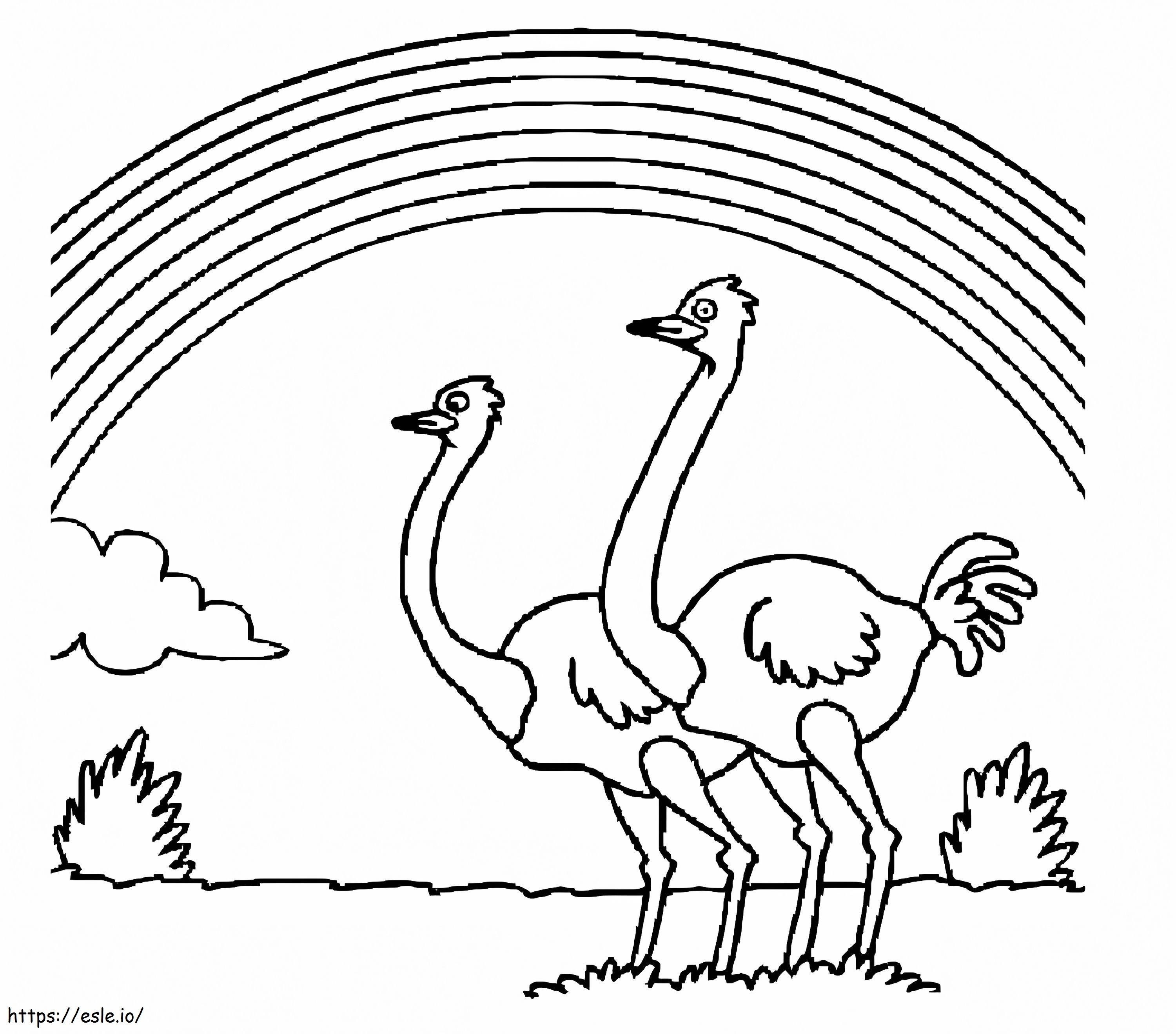 Ostriches And Rainbow coloring page