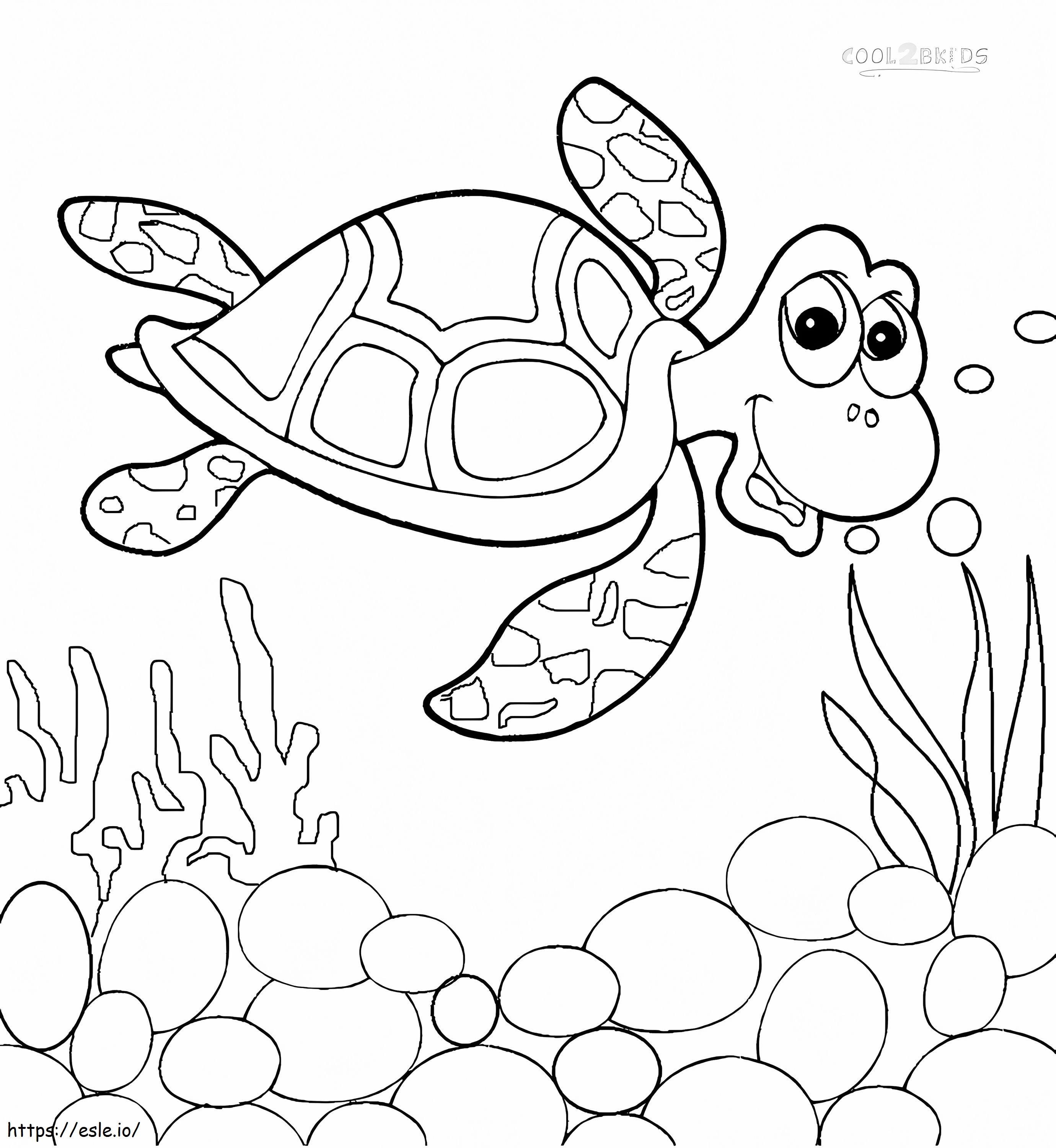  Getdrawings Deniz Kaplumbağası Karikatür Çizimi Deniz Kaplumbağası boyama
