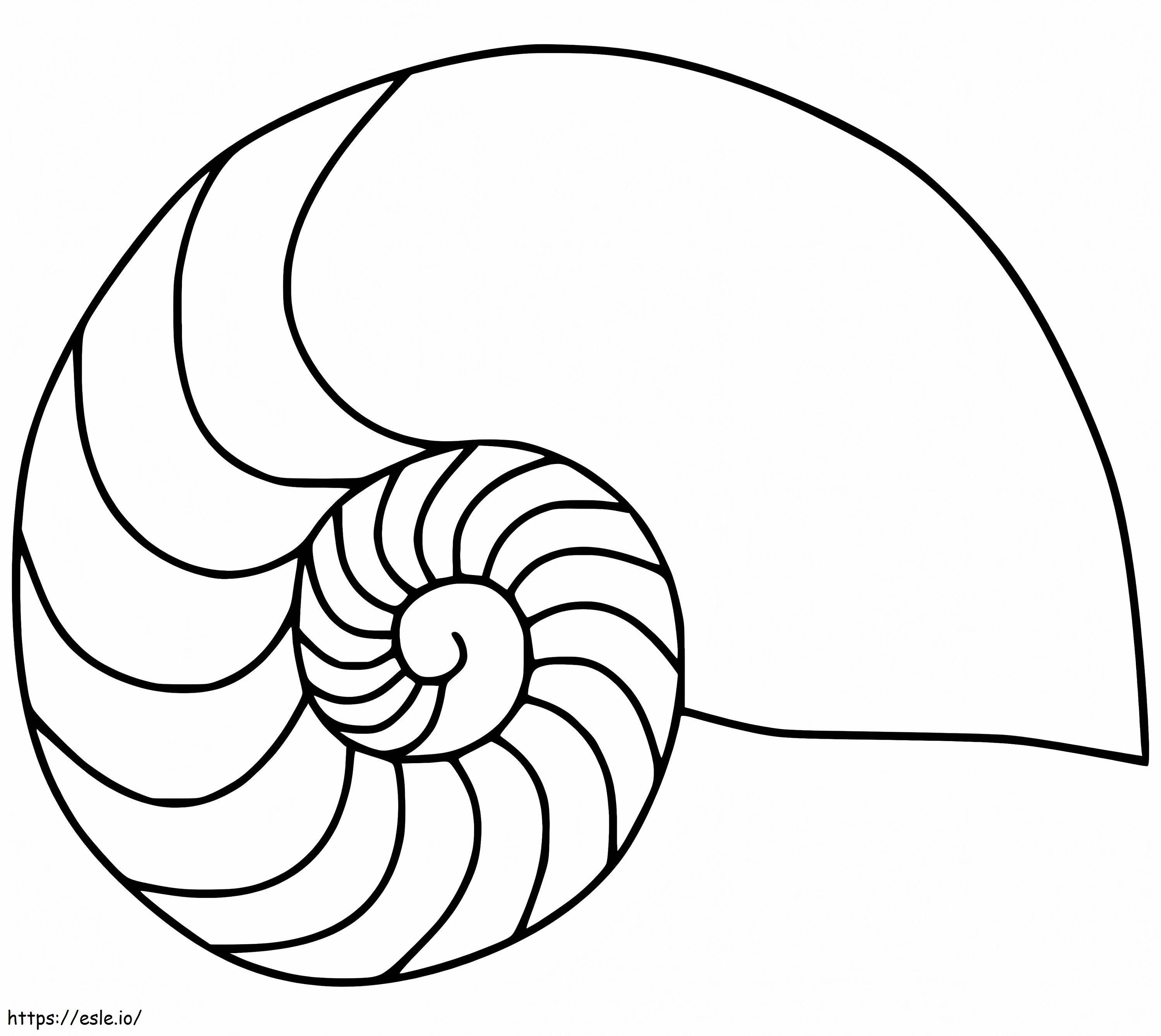 Nautilus Shell 3 coloring page