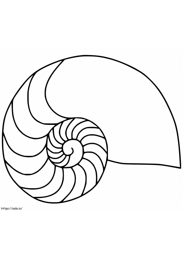 Concha Nautilus 3 para colorear