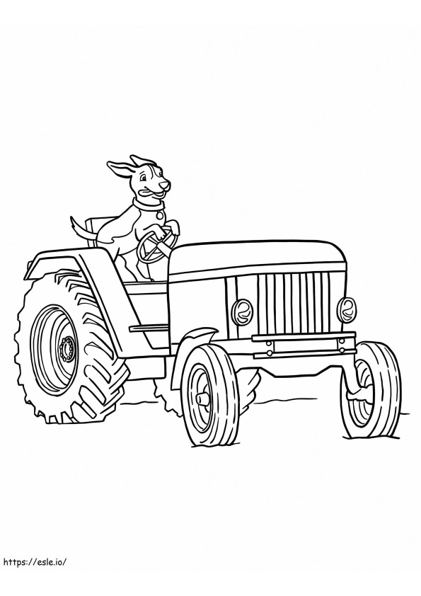 Koira Traktorilla värityskuva