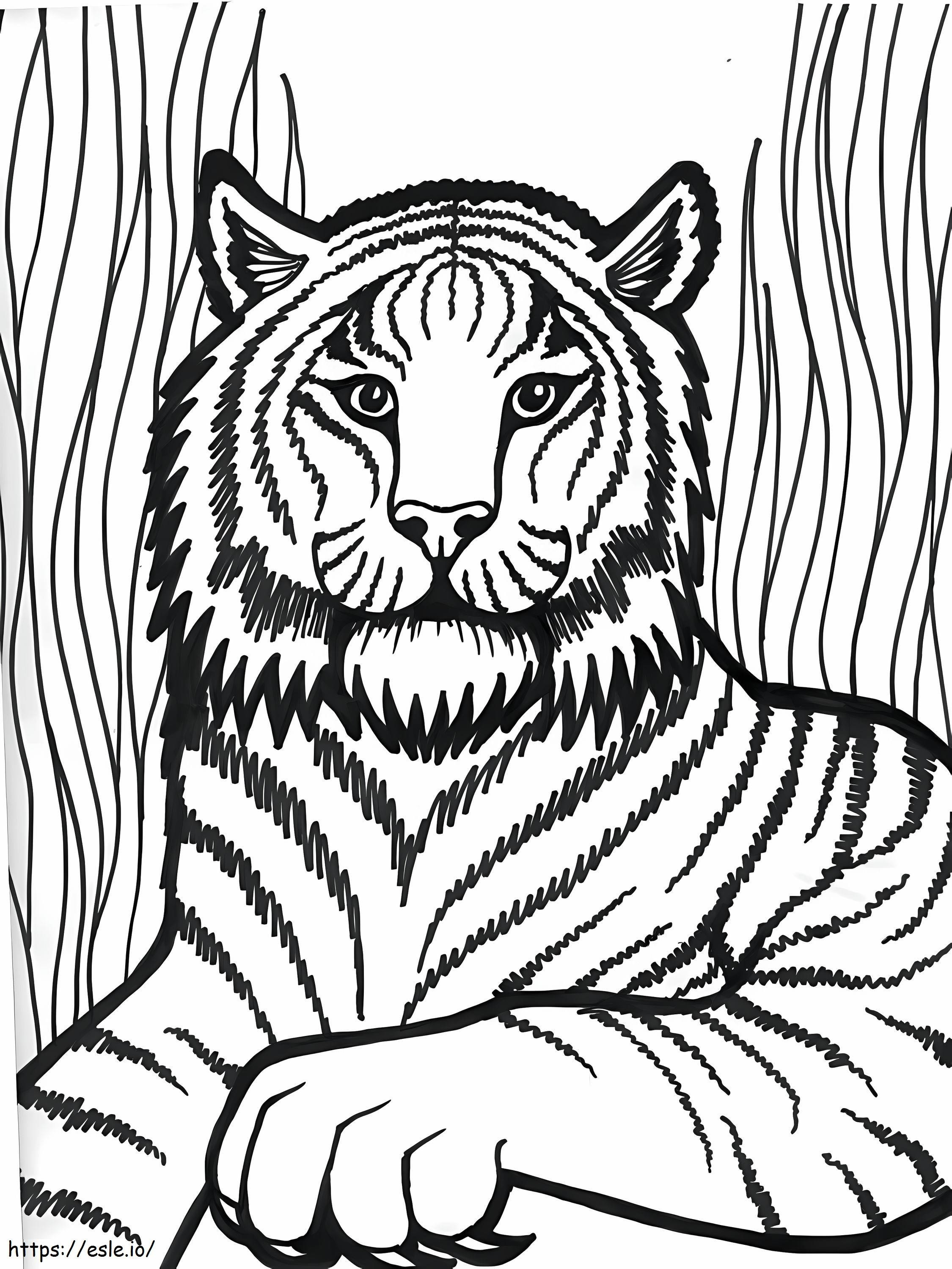 Wild Tiger coloring page