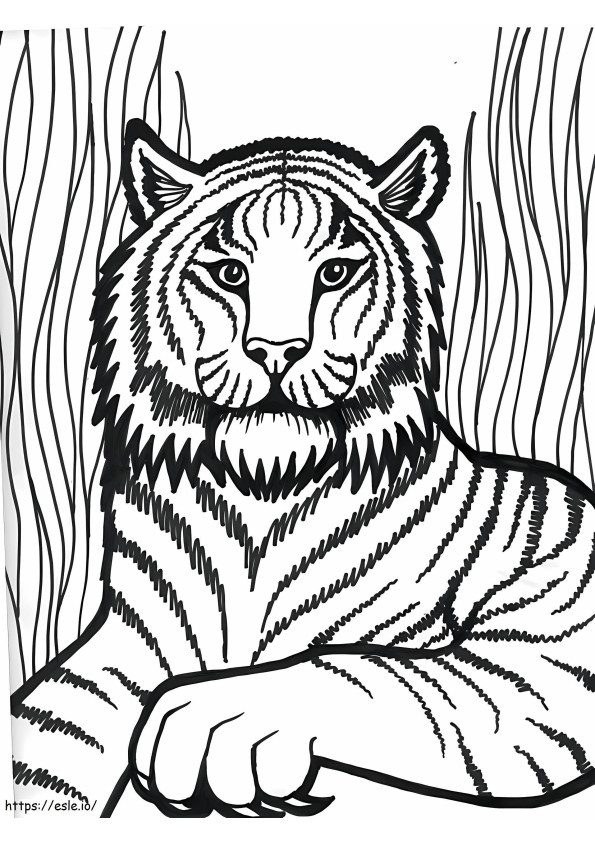 Tigrul sălbatic de colorat