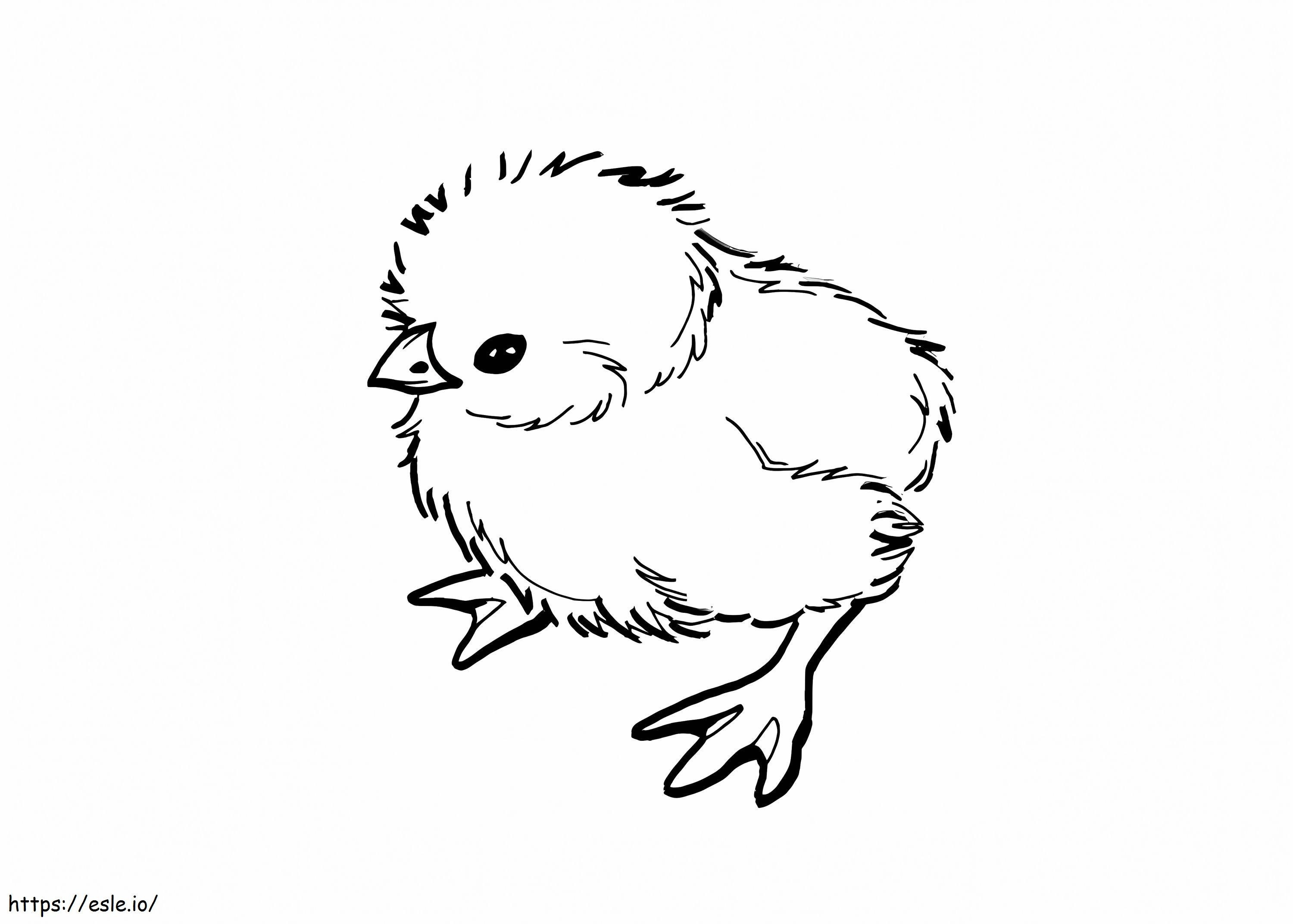 Amazing Chick coloring page