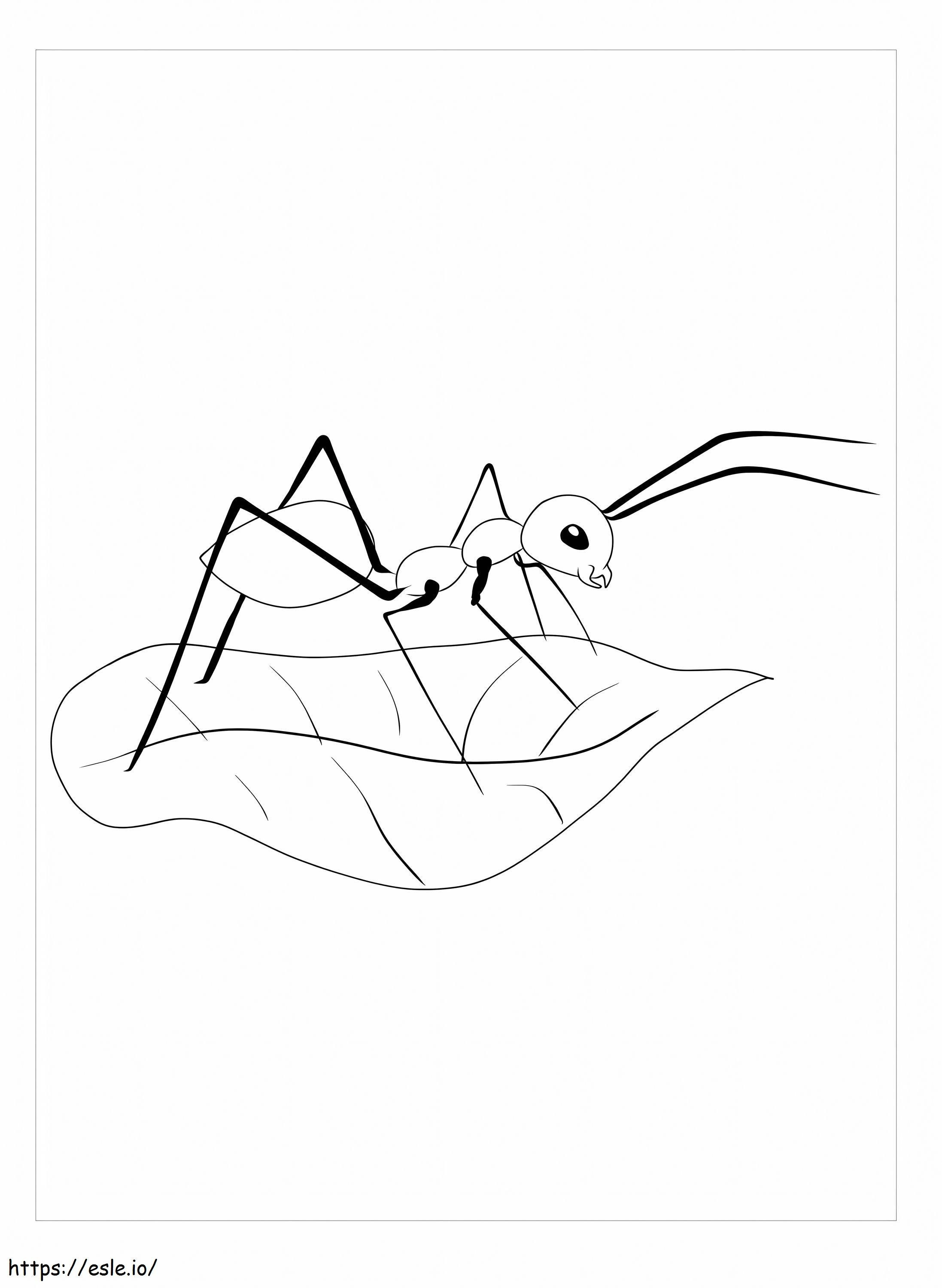 Leafcutter Ant coloring page