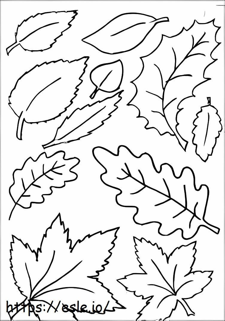 hojas de otoño 5 para colorear