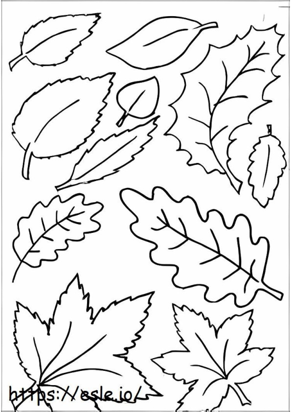 Coloriage Feuilles d'automne 5 à imprimer dessin