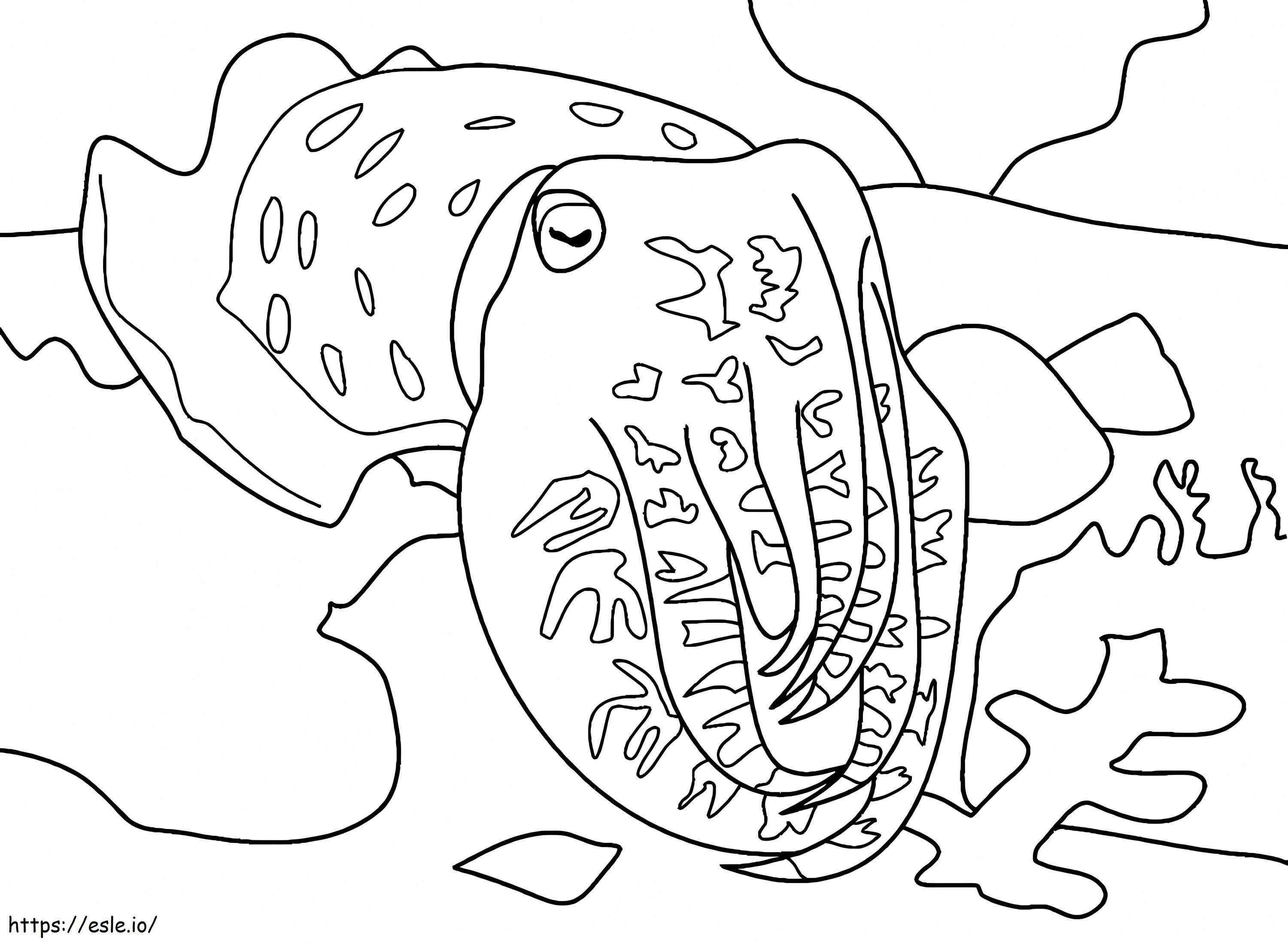 Squid coloring page