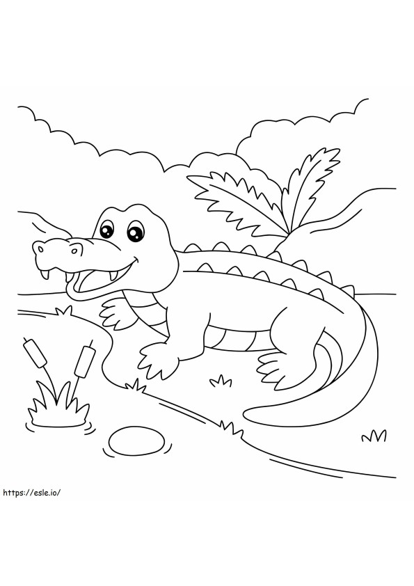 Fun Crocodile coloring page