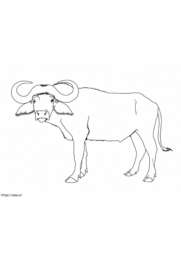 Grote buffel kleurplaat