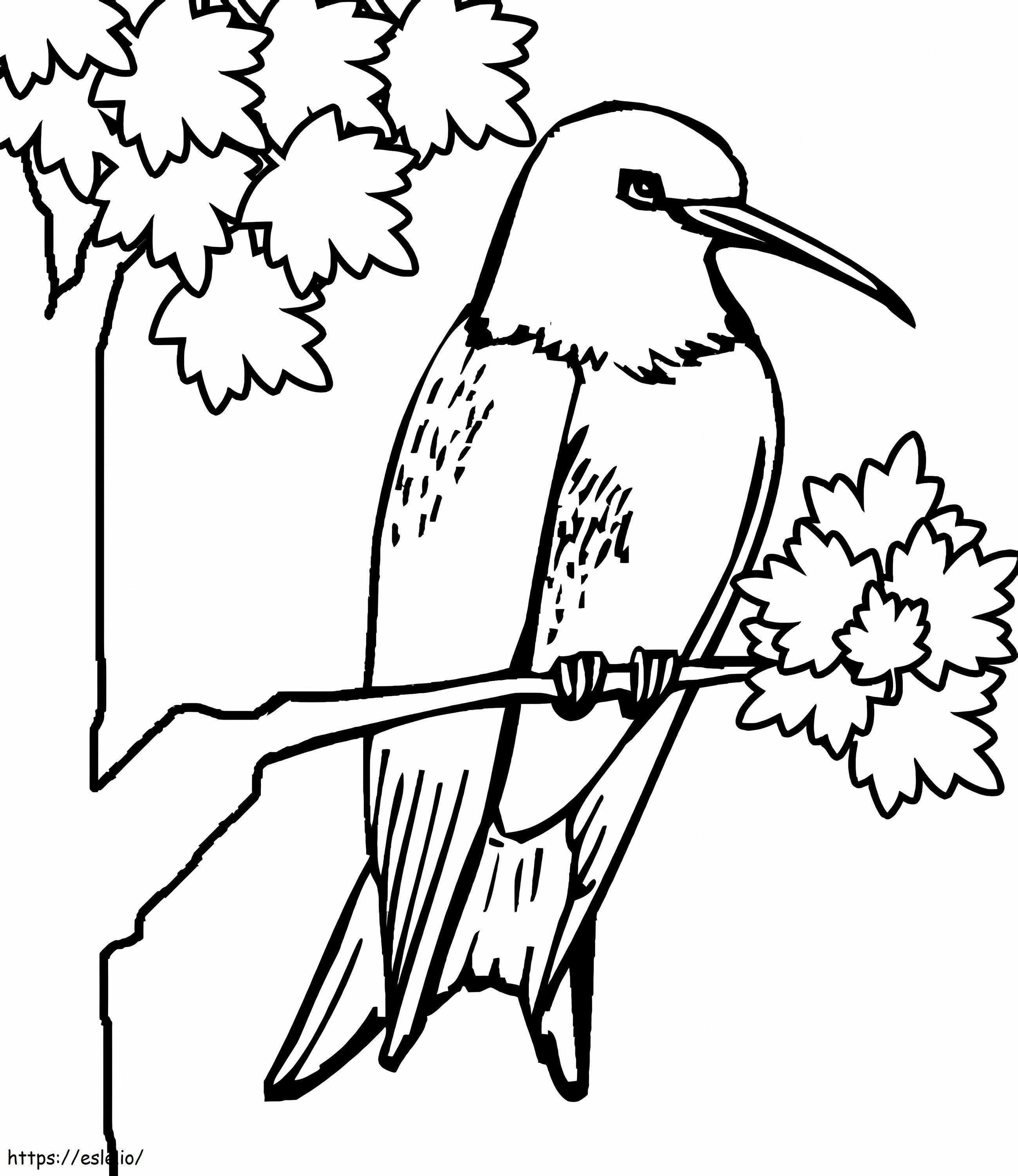 Pasăre colibri în copac de colorat