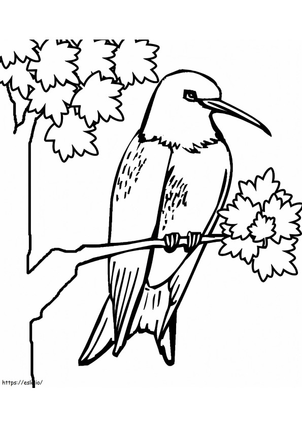 Hummingbird In Tree coloring page