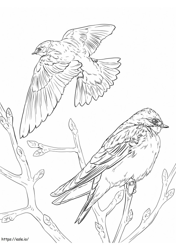 Tree Swallows coloring page