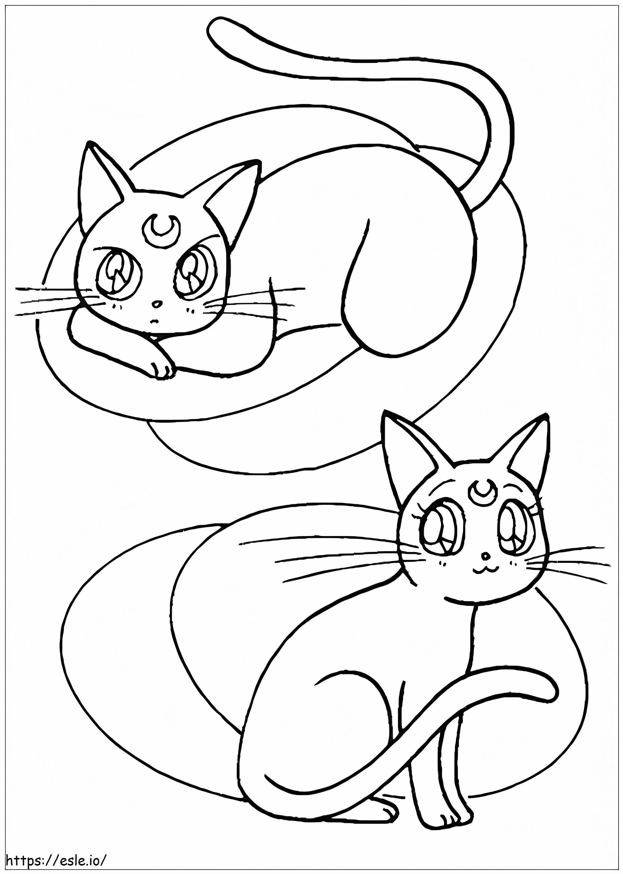 Dois Gatos Guerreiros Bonitos para colorir