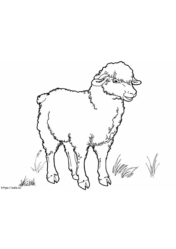 Coloriage Beau mouton à imprimer dessin