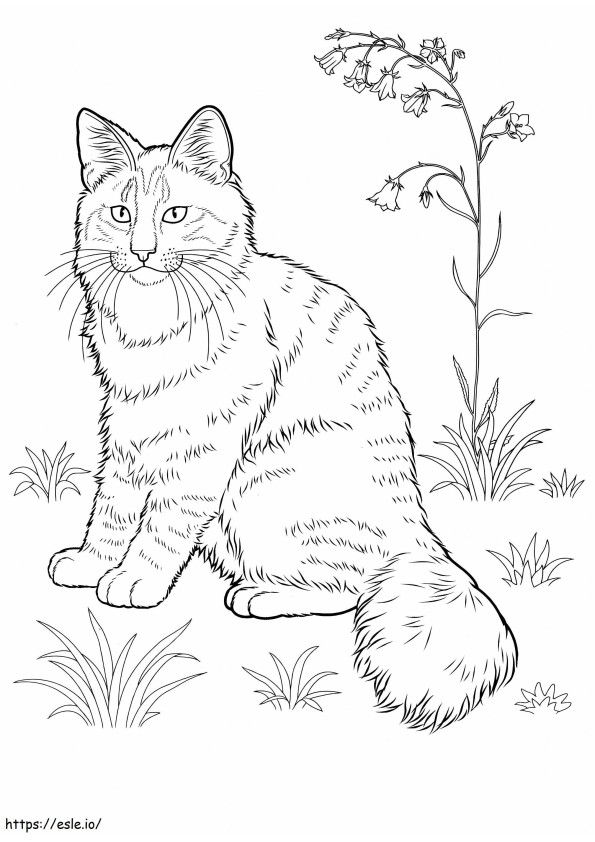 Kucing Dengan Rumput Dan Bunga Gambar Mewarnai