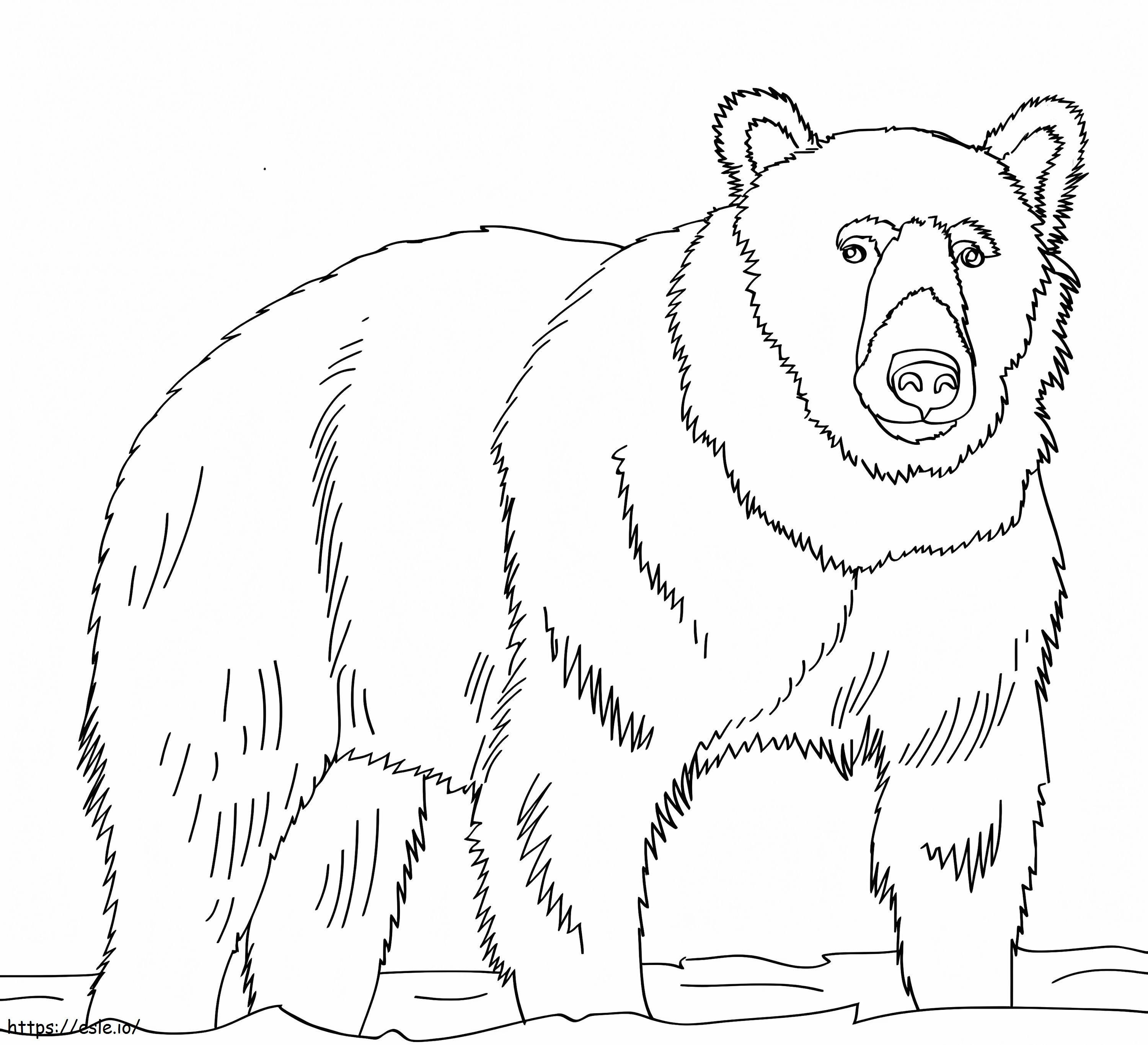 Normale bruine beer kleurplaat kleurplaat