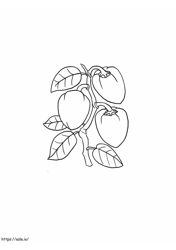 Coloriage Abricot imprimable à imprimer dessin