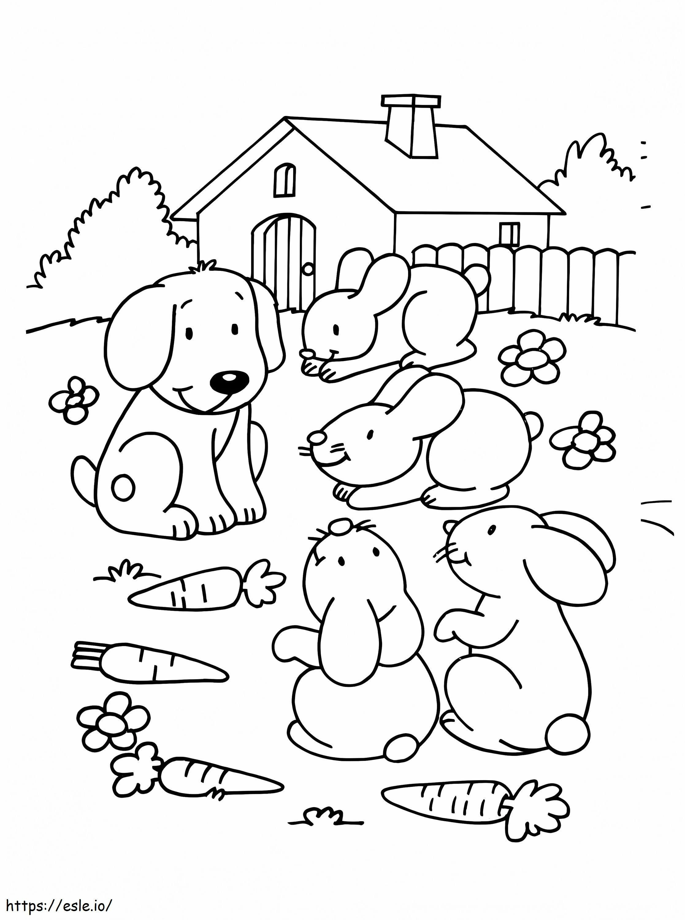 Cão de estimação e coelhos para colorir