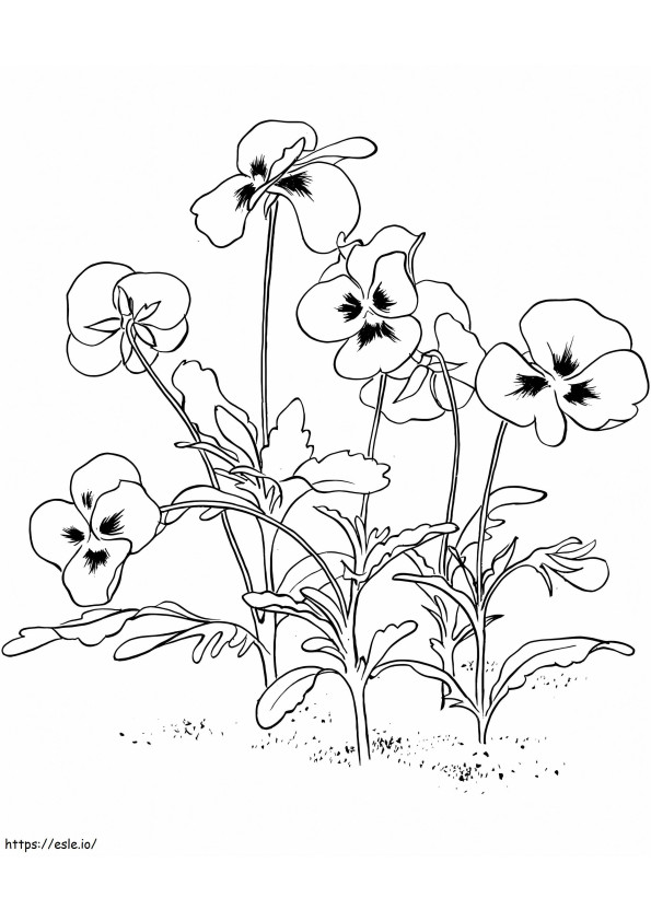 Coloriage Fleur De Violettes 5 à imprimer dessin