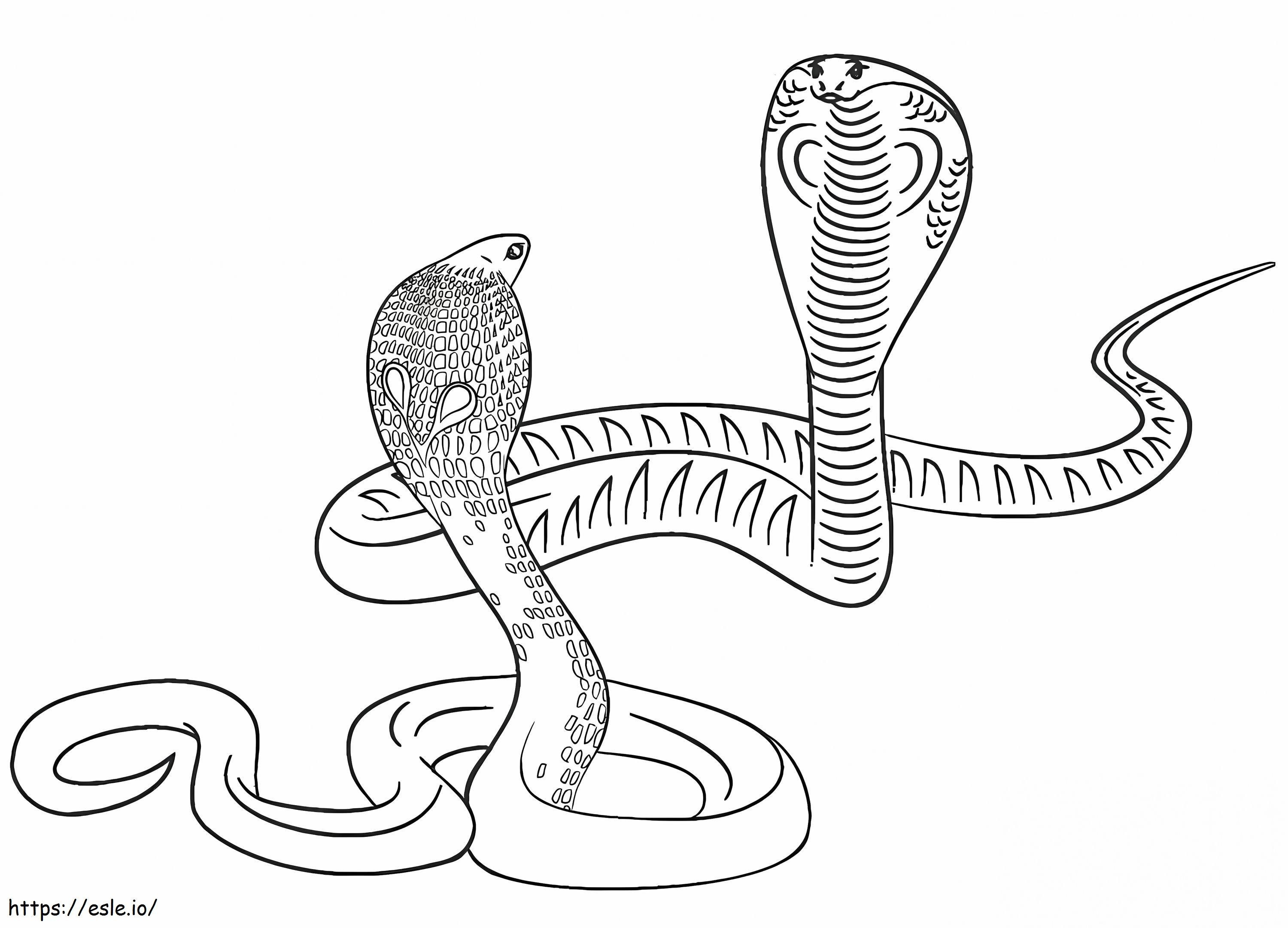 Two Curve coloring page