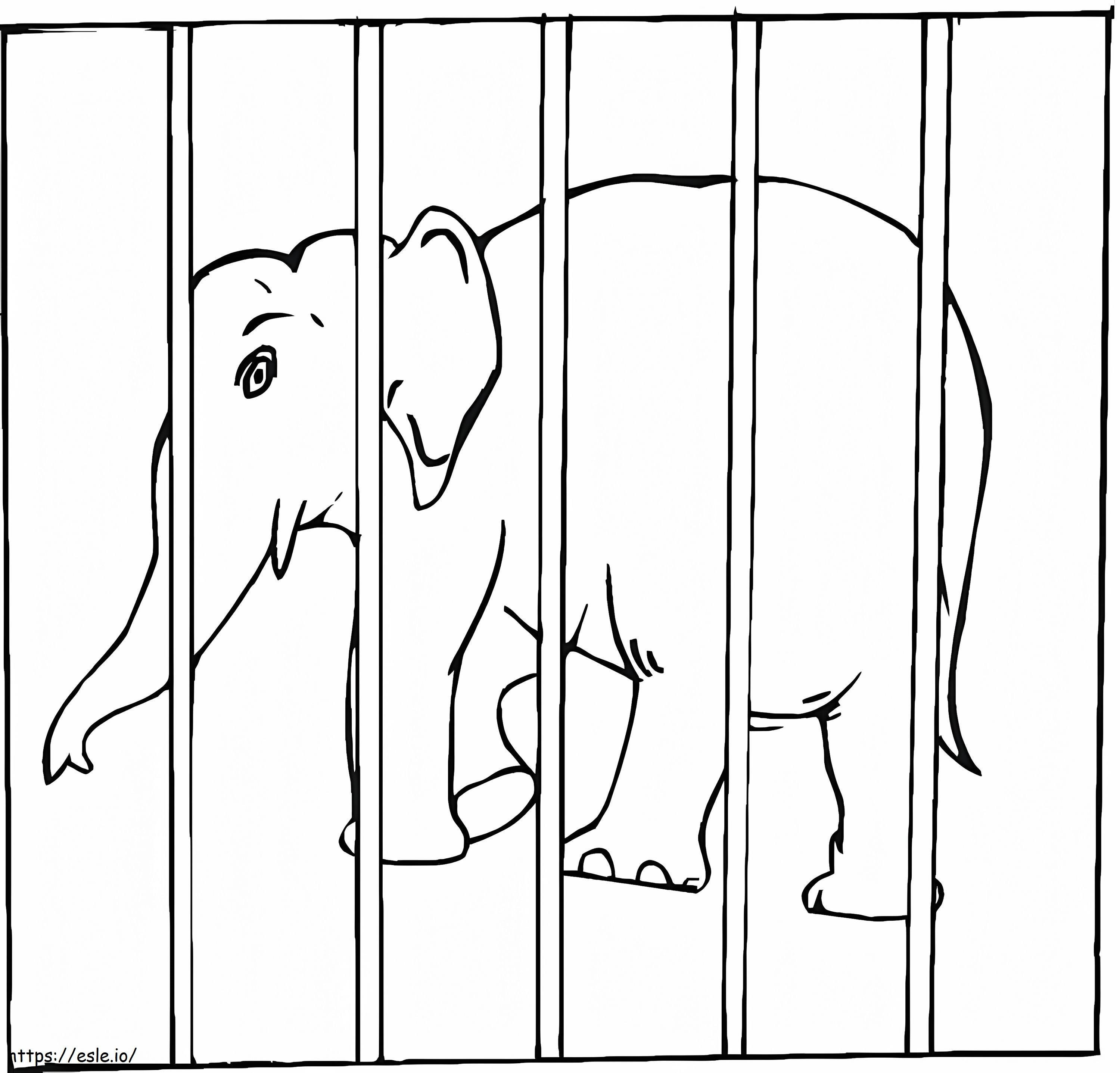 elefante na gaiola para colorir